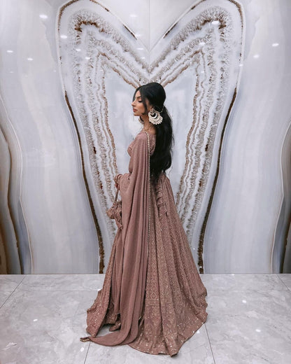 Beautiful Brown Lehenga Choli For Women