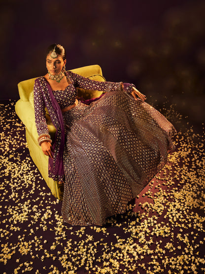 Women Lehenga Choli Set Collection