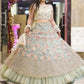 pista-net-fancy-embroidery-work-lehenga-choli