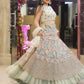 pista-net-fancy-embroidery-work-lehenga-choli